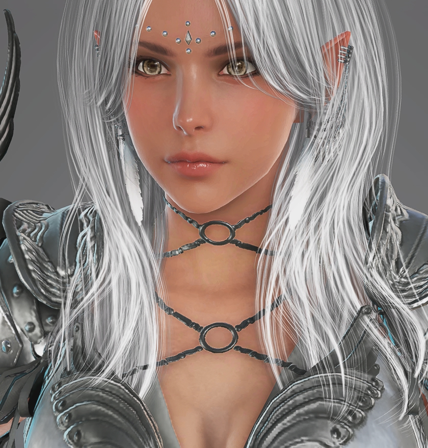 [Beauty Album] Black Desert