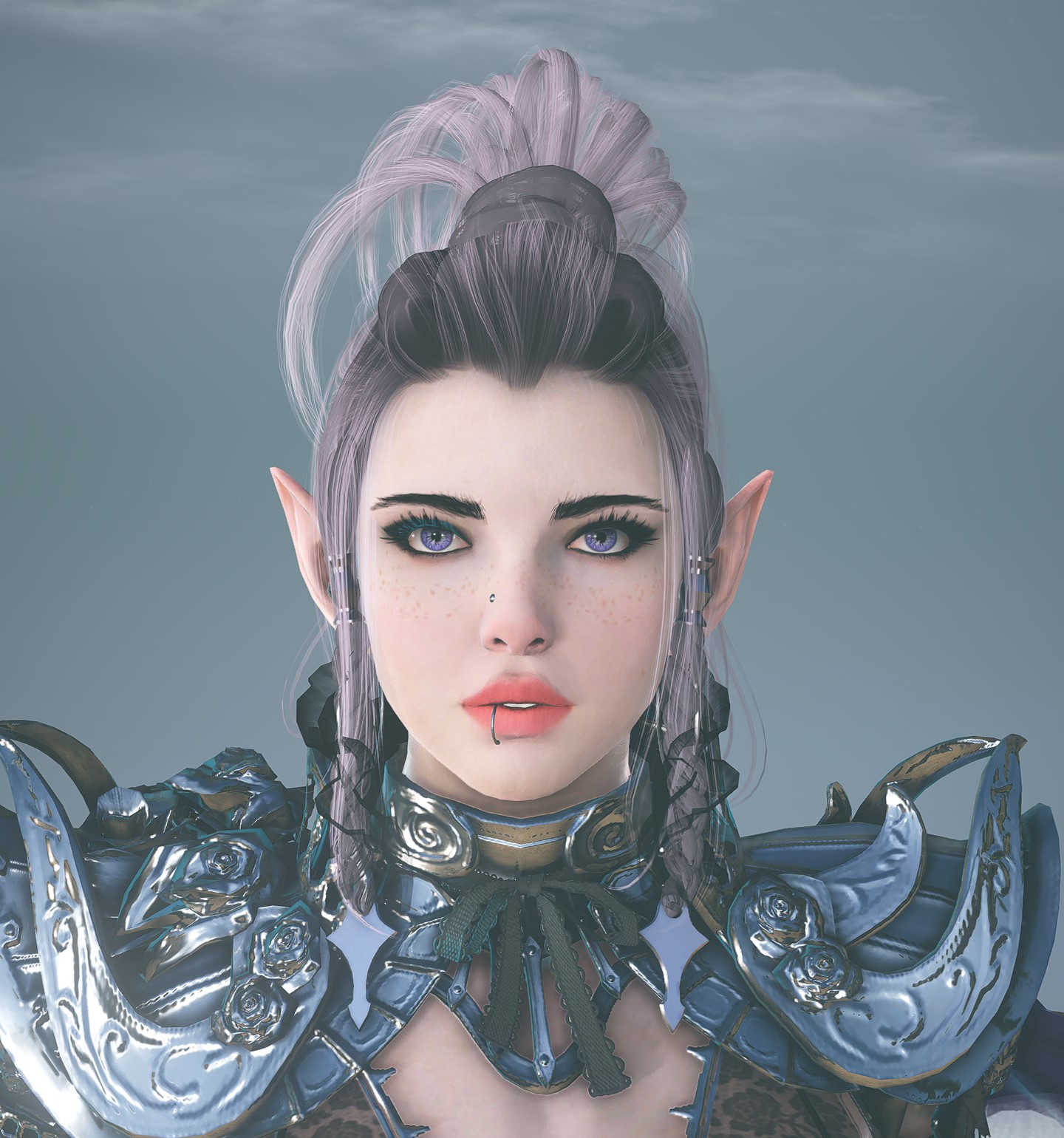 Customization Album Black Desert
