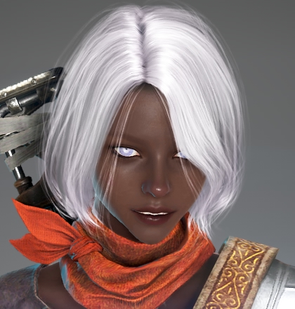 カスタマイズアルバム | 黒い砂漠Console