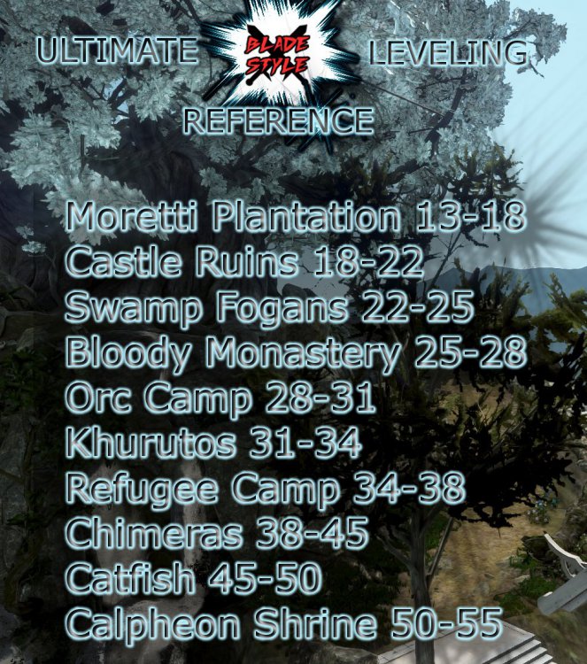 levelingref.JPG